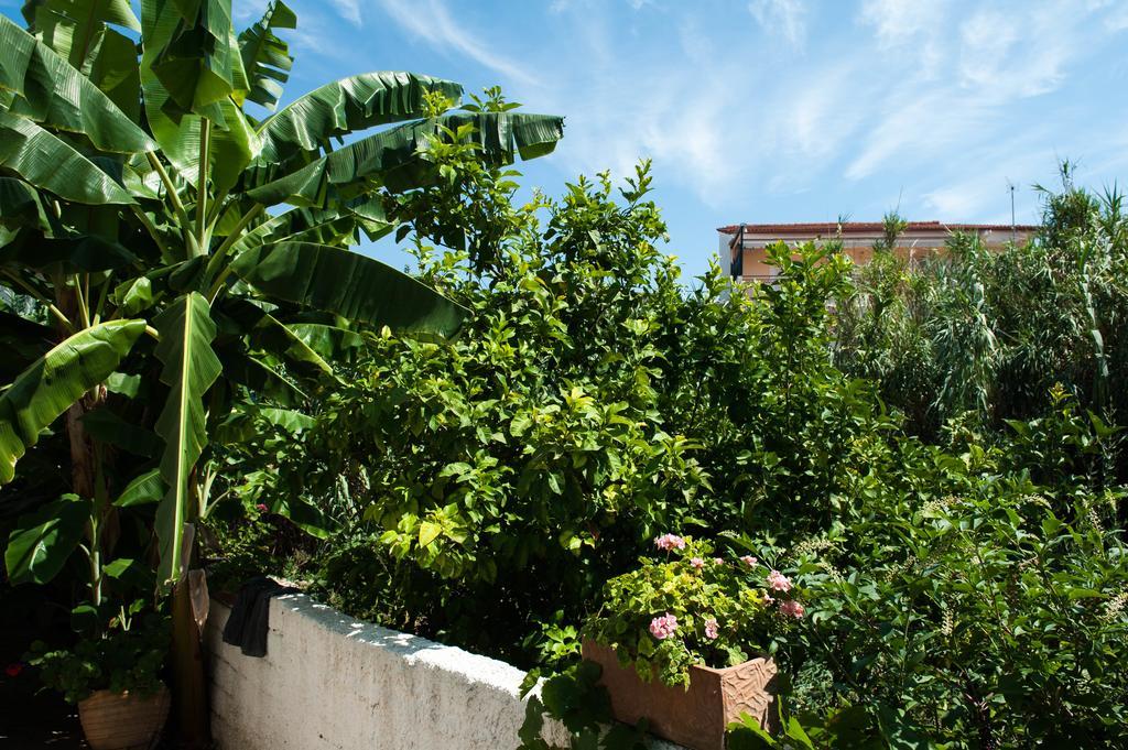 Studios Margarita Petalídi Kültér fotó